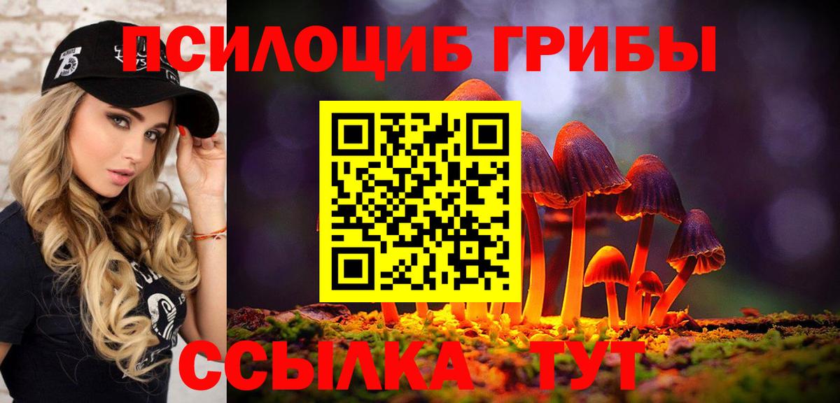 что такое   Вход с VPN  Улан-Удэ  Псилоцибиновые грибы мицелий 